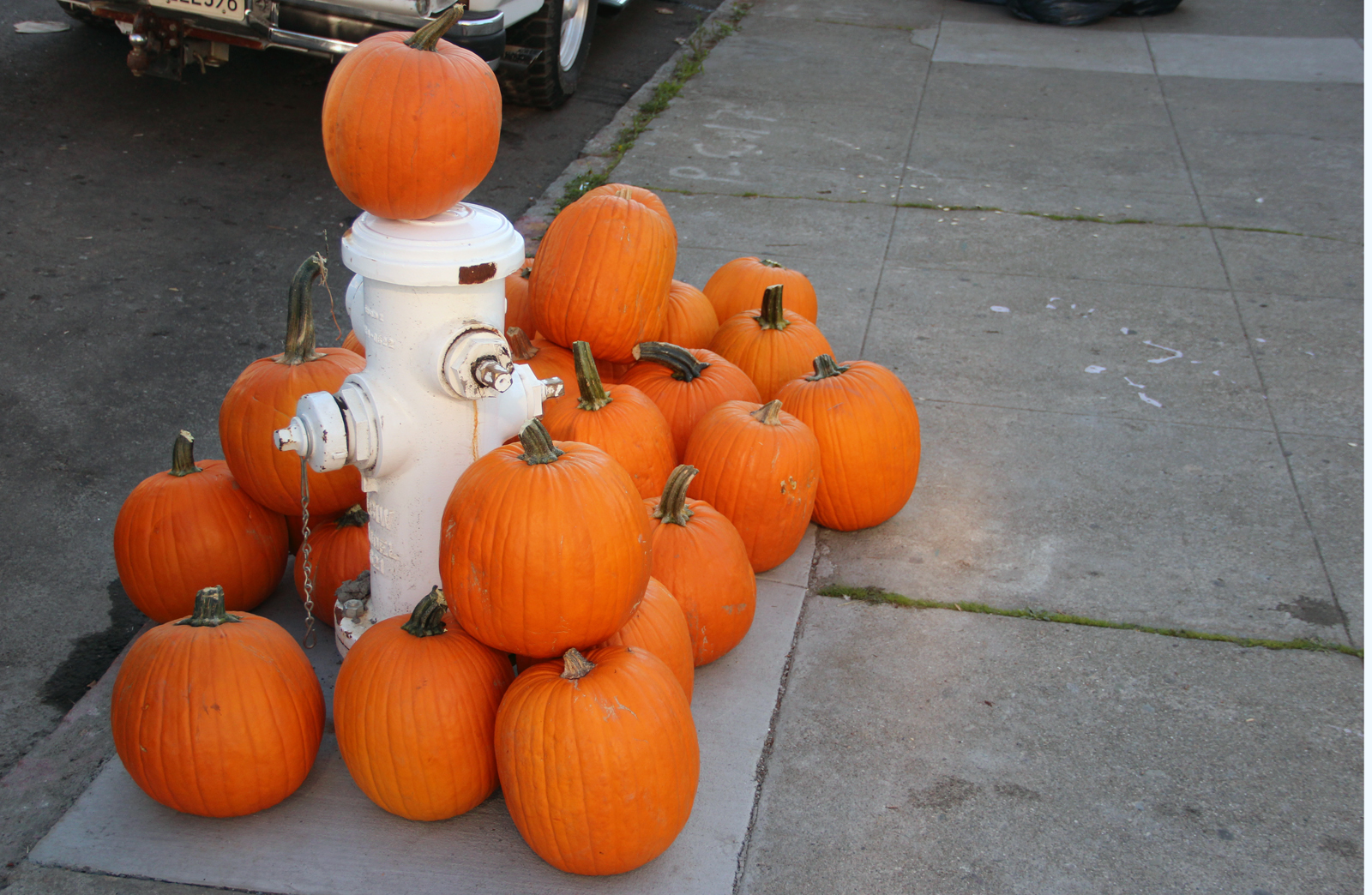 On Harrison and 20th streets.