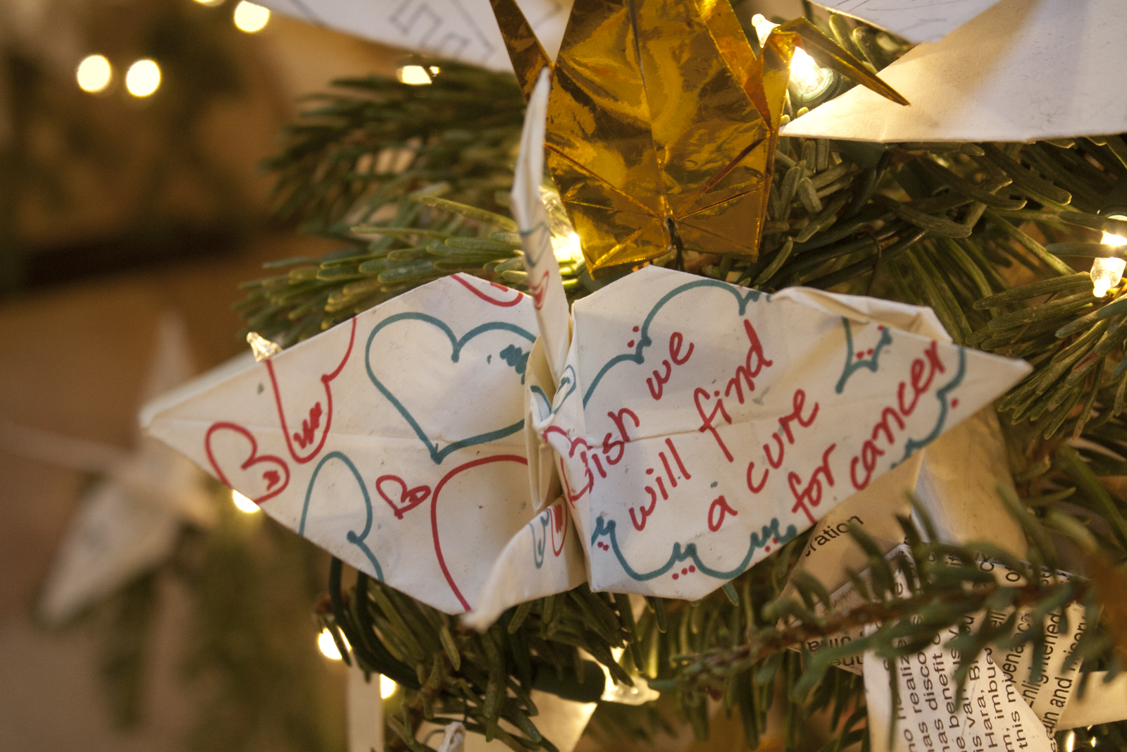 The Christmas tree at City Hall.