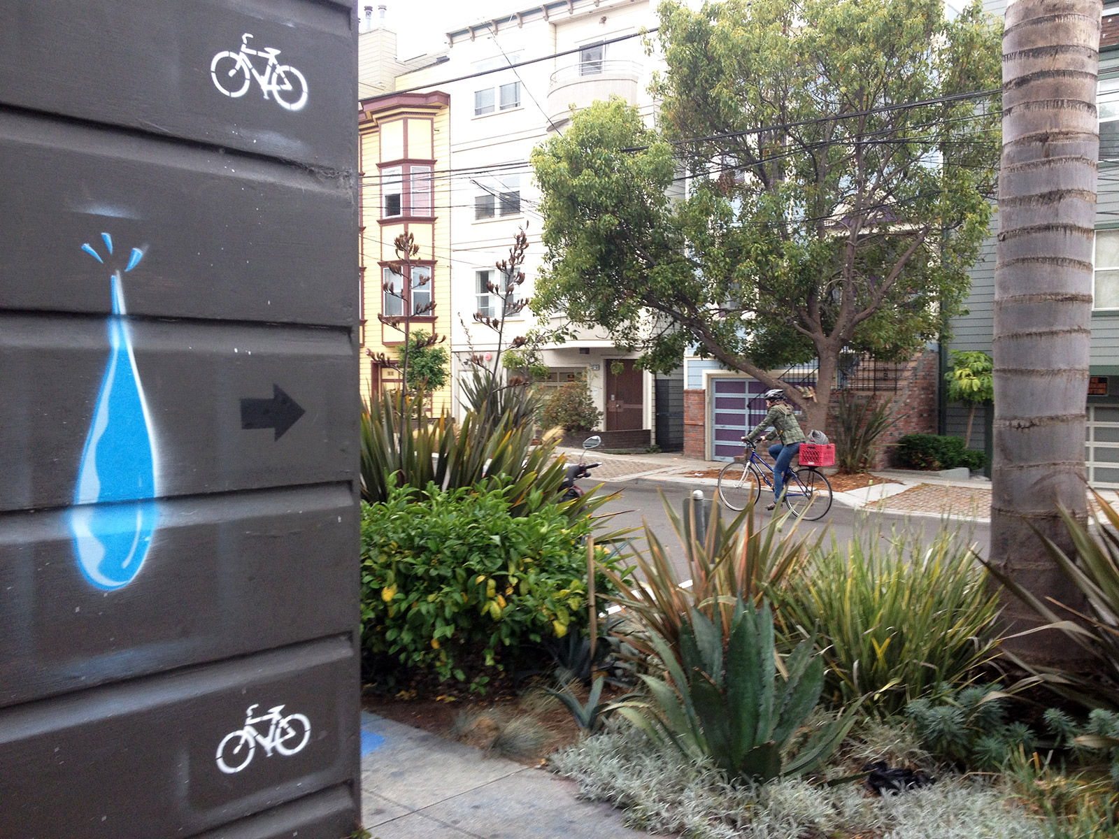 Picture of a woman on a bike