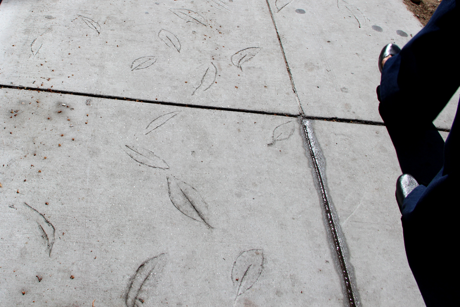 Leaf outlines in grey cement.