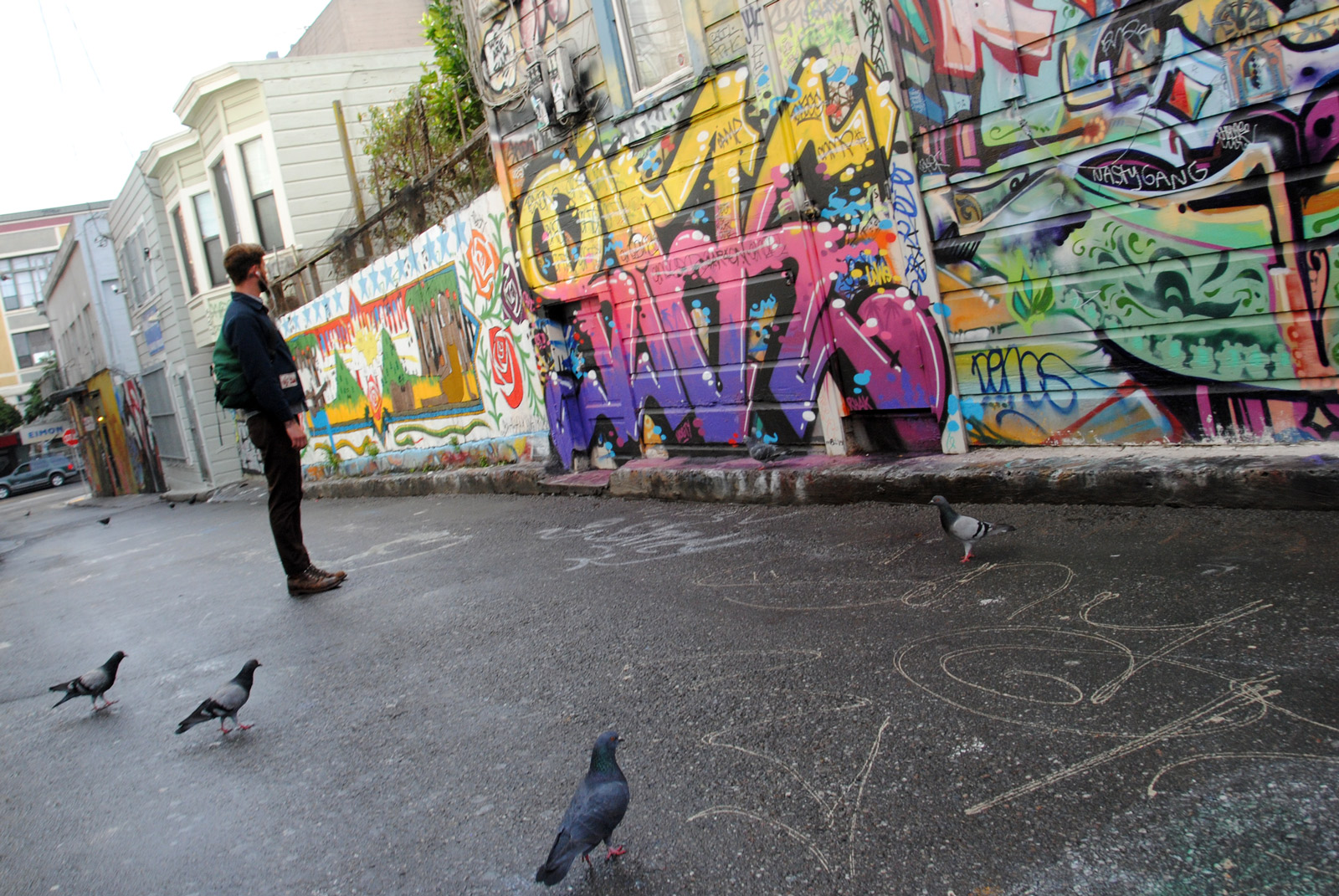 Image shows a man and some pigeons facing a mural.