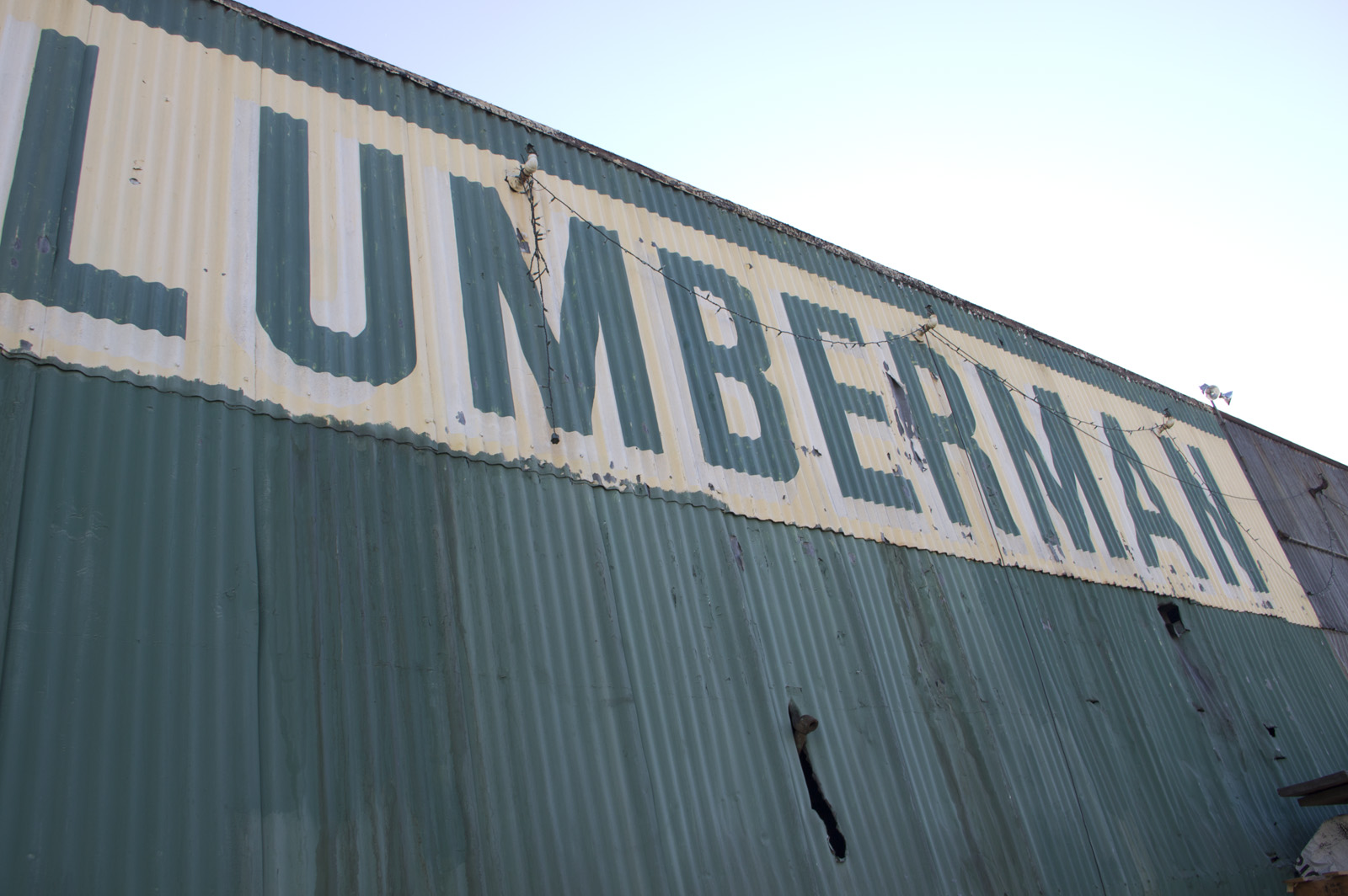 The Lumberman sign looms large over the Mission. Photo by Mateo Hoke
