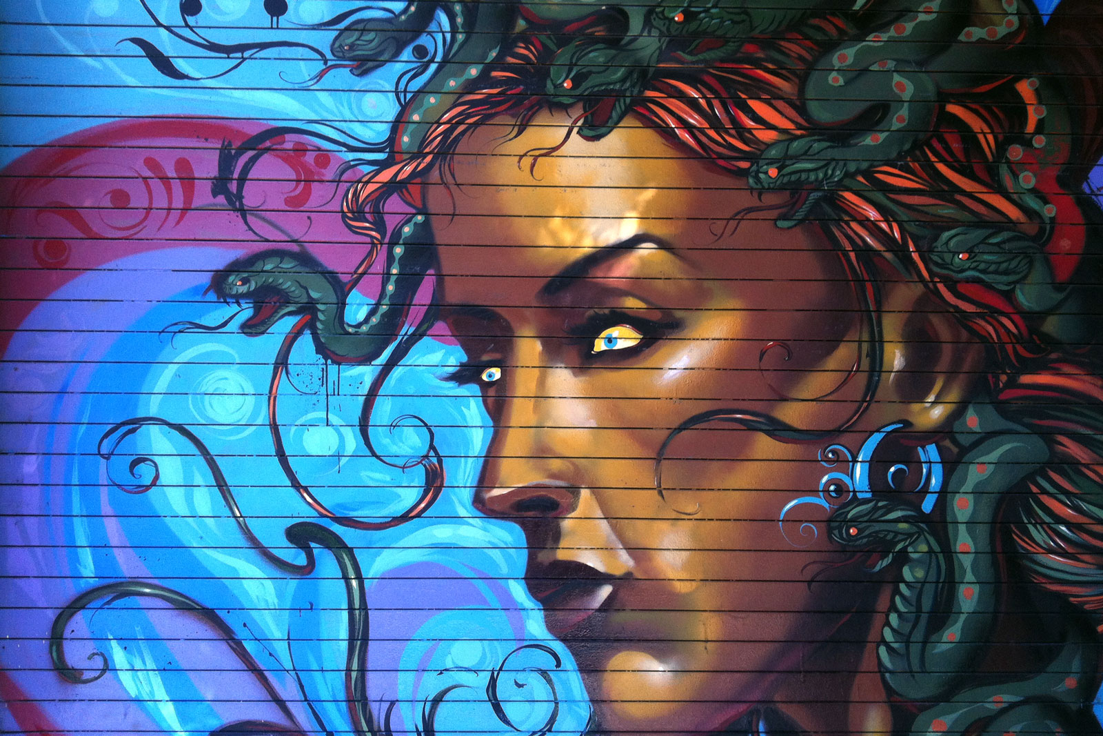 Photo of Medusa Mural in the Mission District