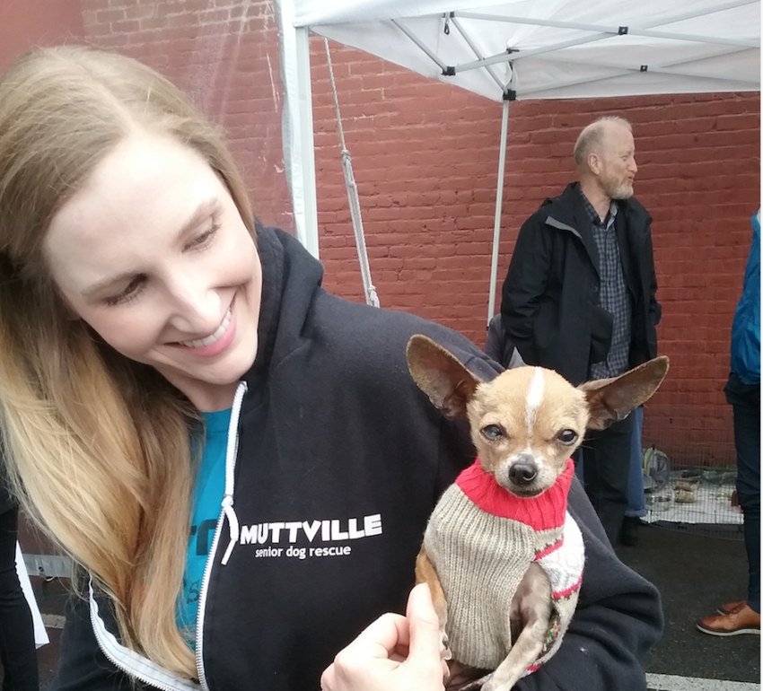 At the Animal Care and Control groundbreaking