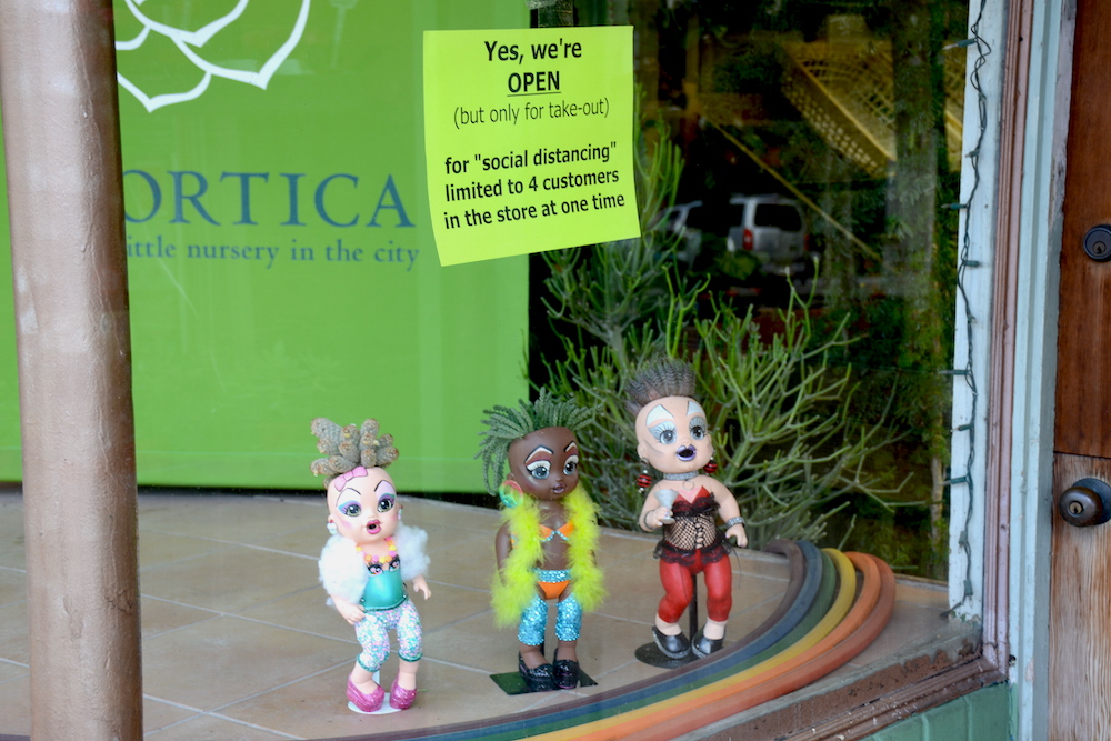 shelter-in-place in the Castro