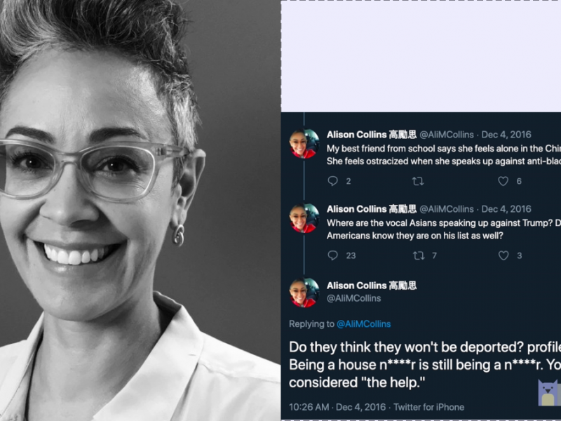 Alison Collins’ strange and terrible $87M lawsuit