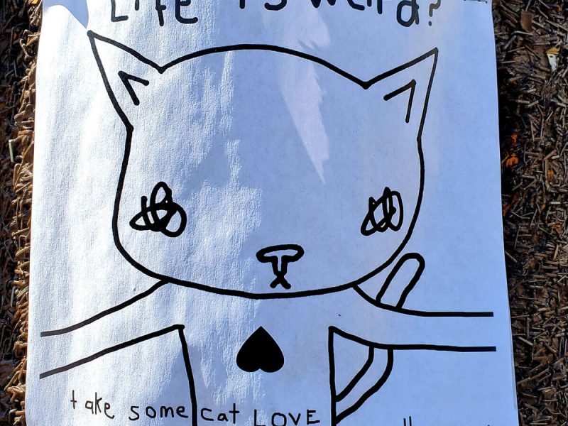Life is Weird Kiti poster around the Mission