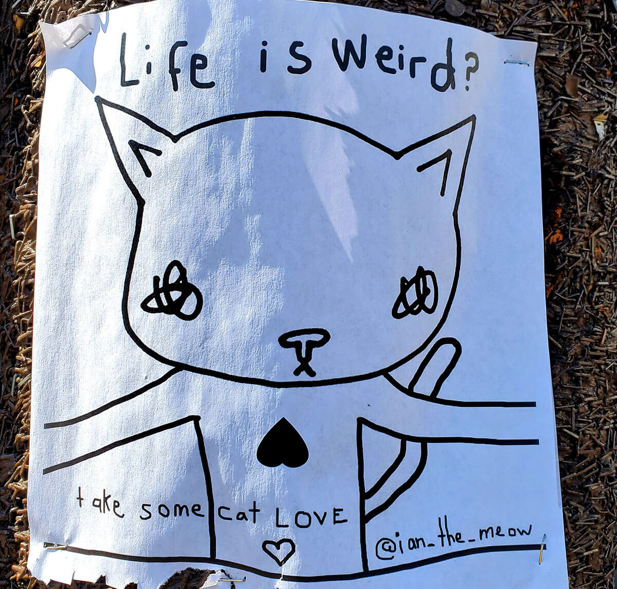 Life is Weird Kiti poster around the Mission