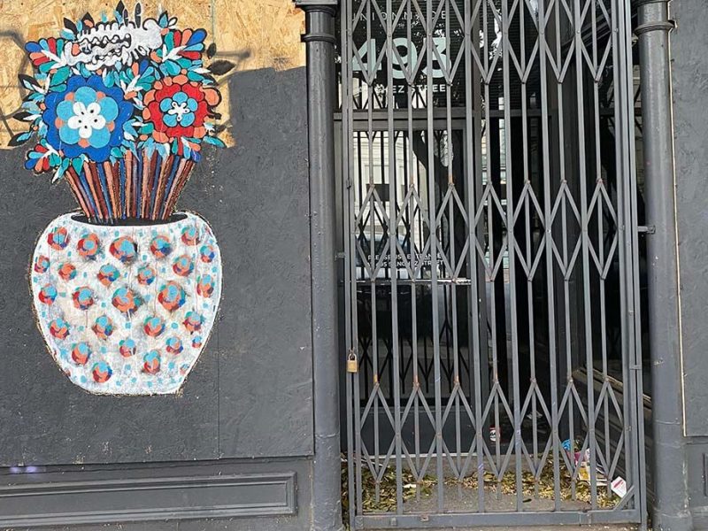 Flowers on Sanchez Street.