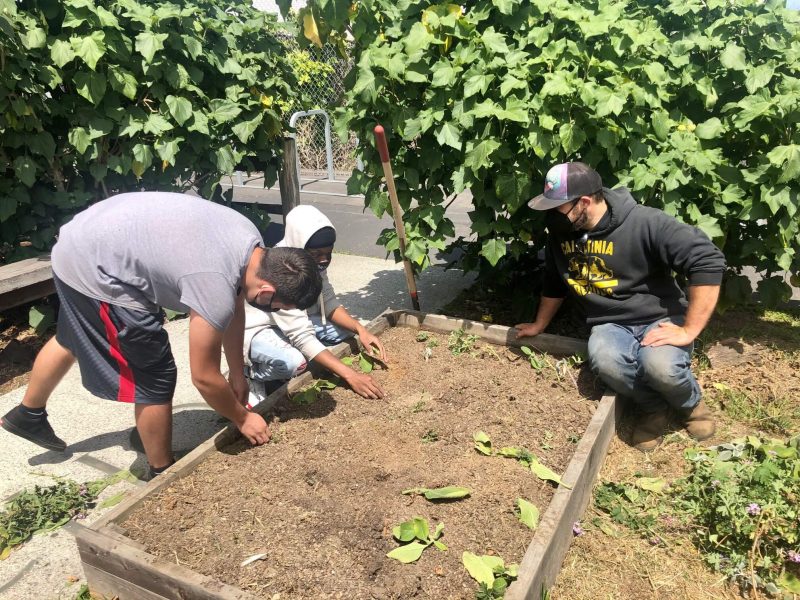 Students learn about science in the garden at Independence High School.