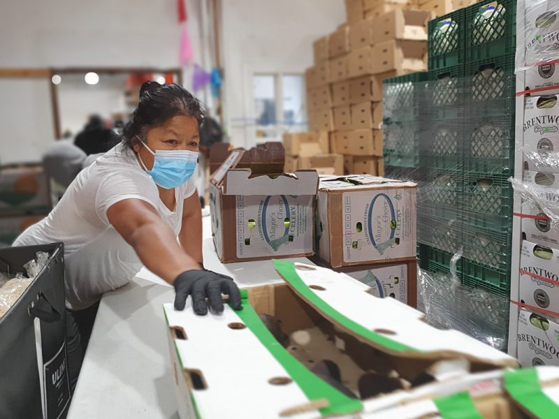 Connie Rivera. Volunteer. Mission Food Hub.