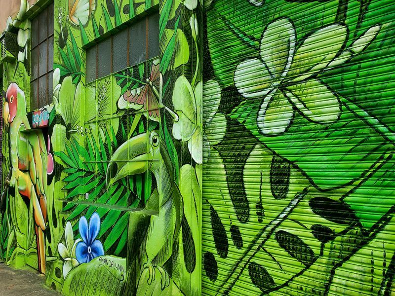 Urban forest mural