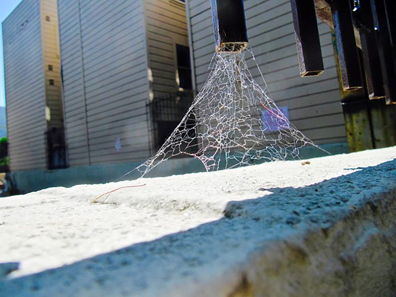 web on 21st street