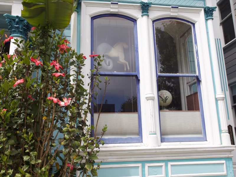 Hippocampus in window