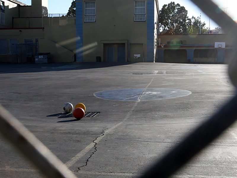 Buena Vista Horace Mann yard