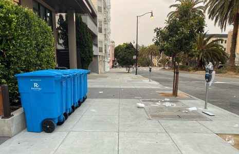 Recology bins, Dolores Street, August 18, 2021