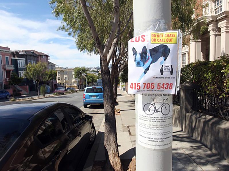 Flyers on Guerrero