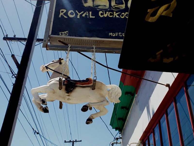On 19th Street. Royal Cuckoo