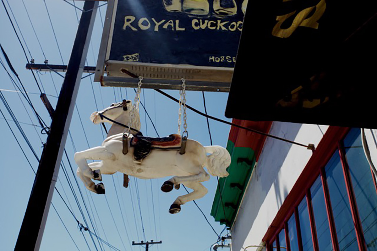On 19th Street. Royal Cuckoo