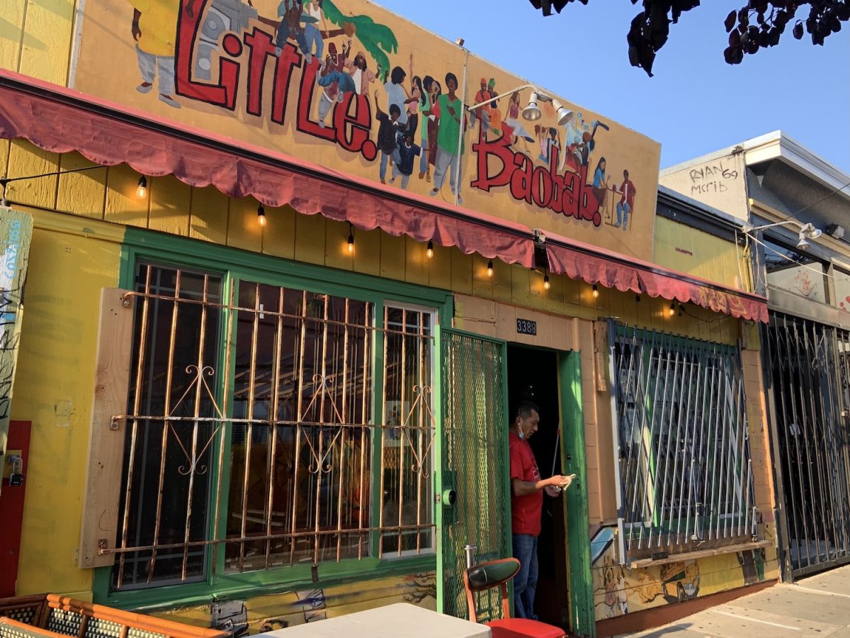 ‘Big Baobab’ to plant fresh roots on Mission Street 