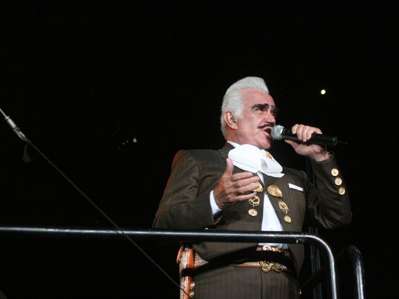 El Rey, Vincente Fernandez