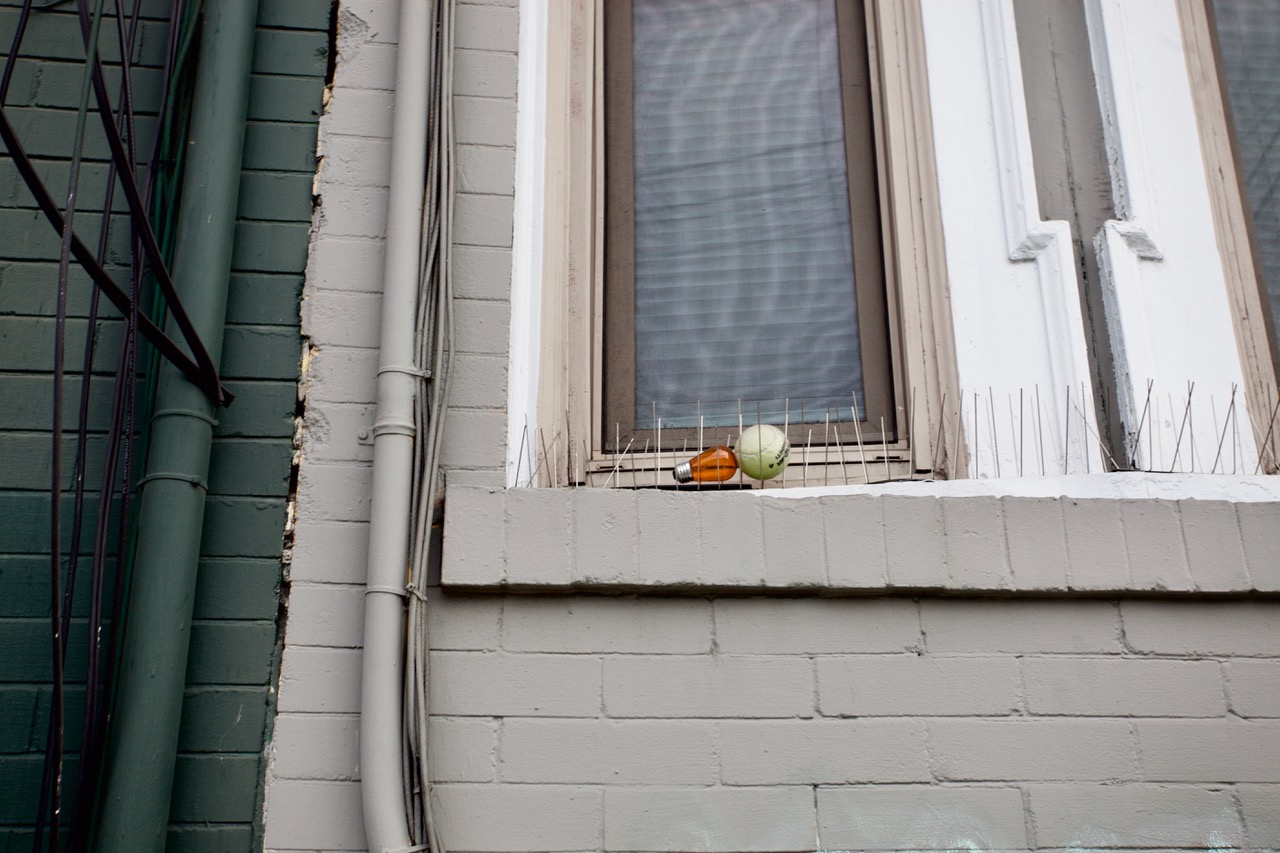 surrealism. baseball and light