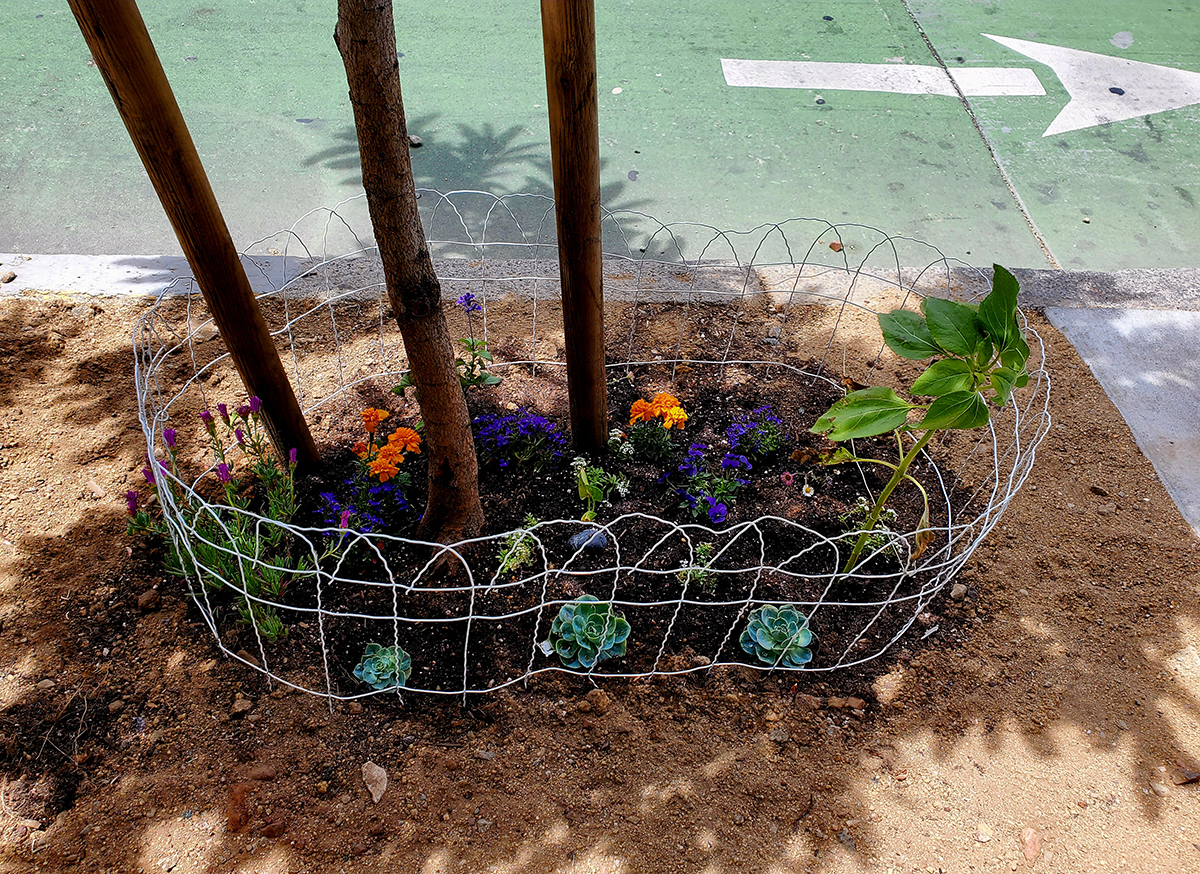 Small, newly planted garden
