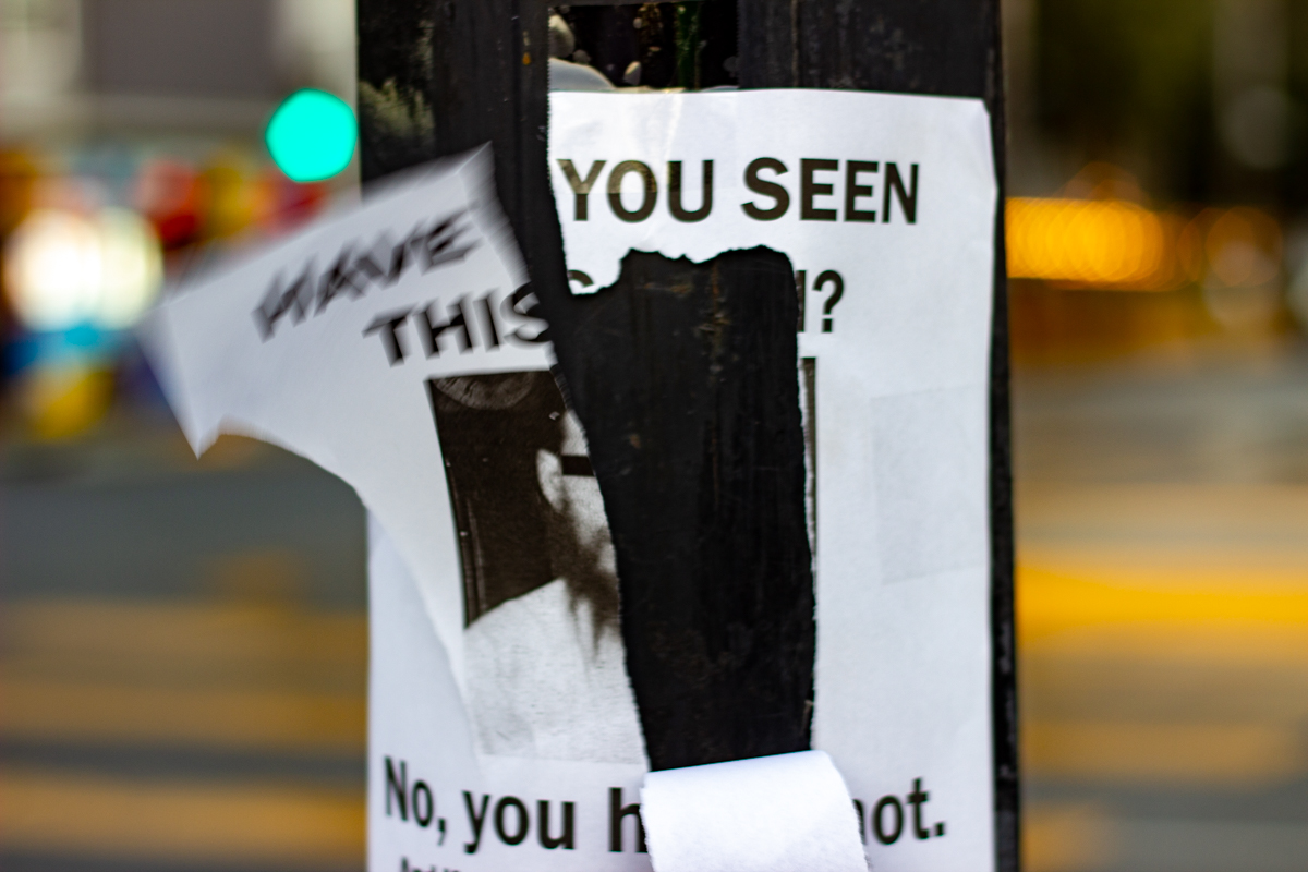 flyer that has been ripped with have you seen this