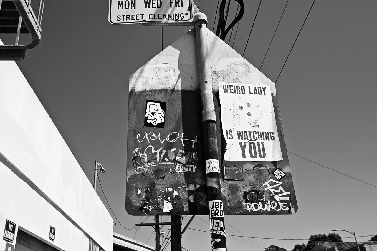 Weird lady is watching you flyer or flier