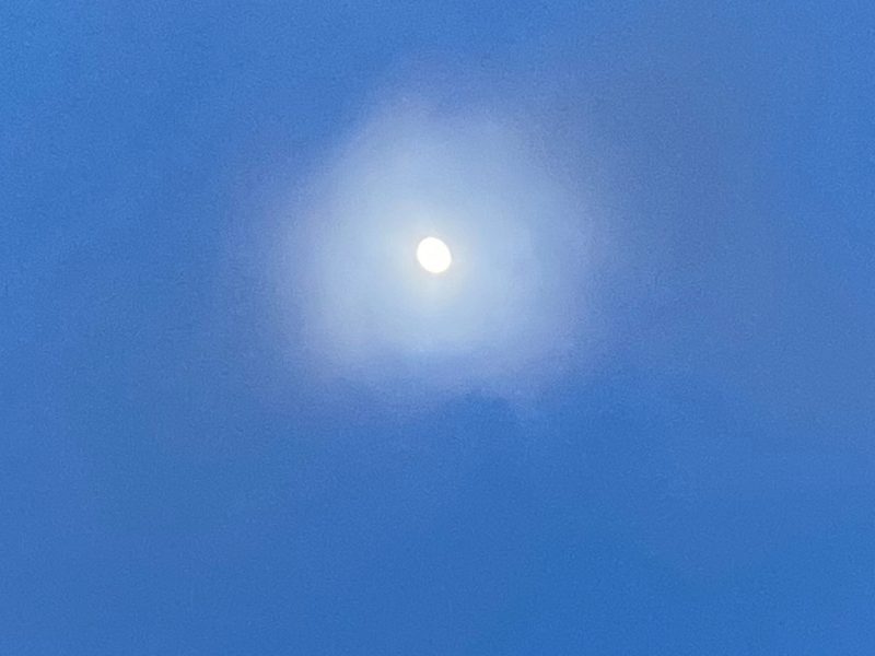 Moon out in daylight.