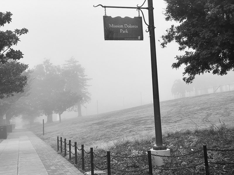 Morning fog in Dolores Park