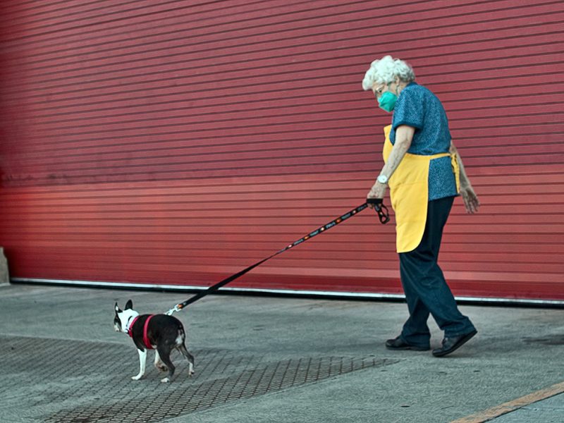 An Elderly woman walking a dog.