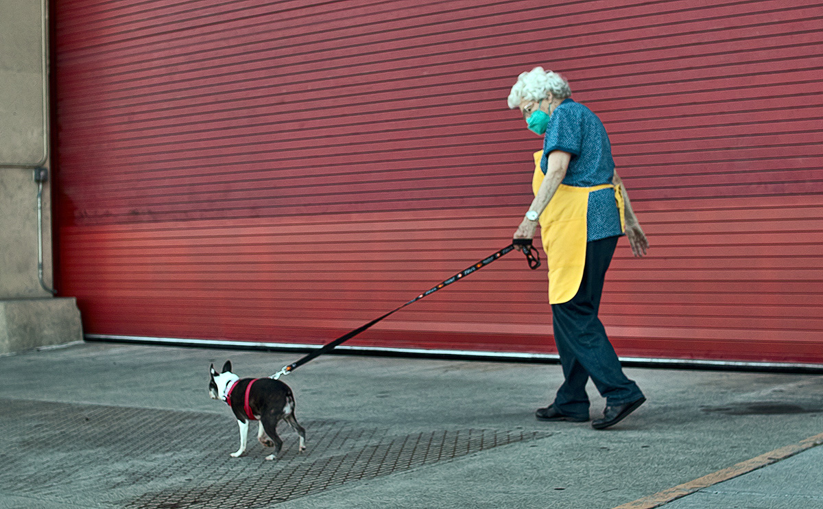 An Elderly woman walking a dog.