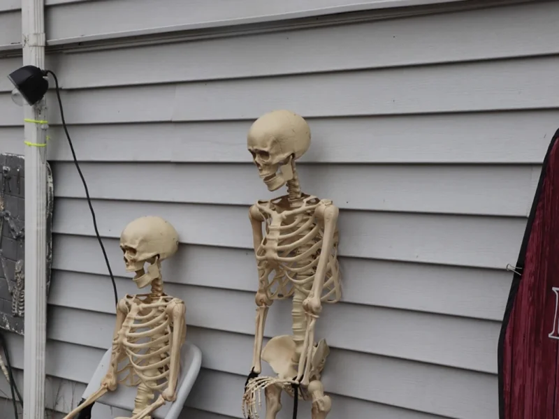 two skeletons against wall.