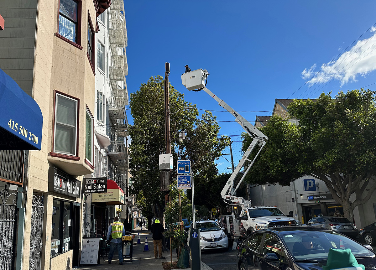 Worker in a lift to trim a tree.