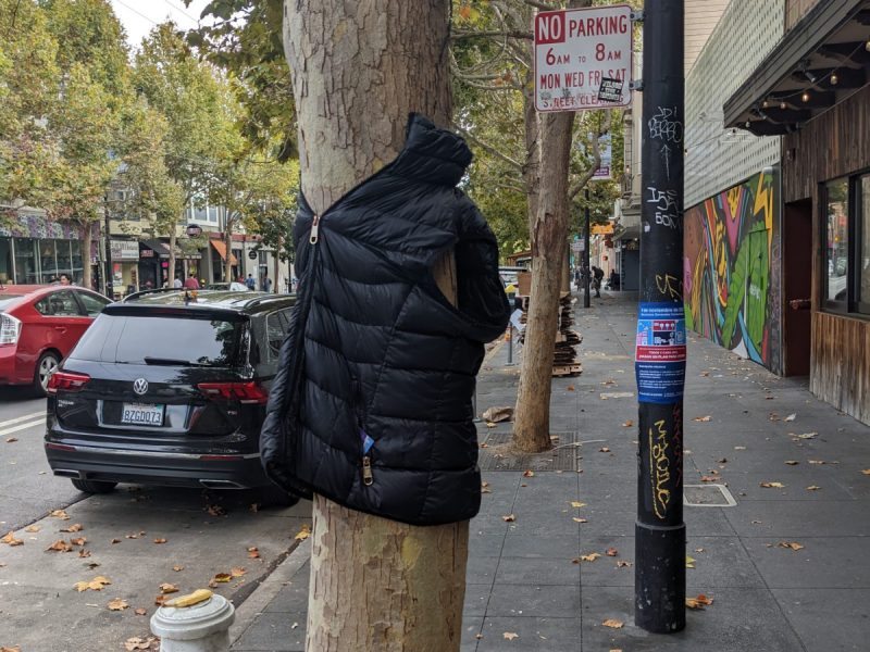 Trunk of a tree with a puffy jacket zipped around it.