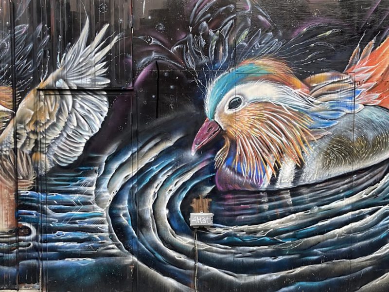 A mural of two birds.