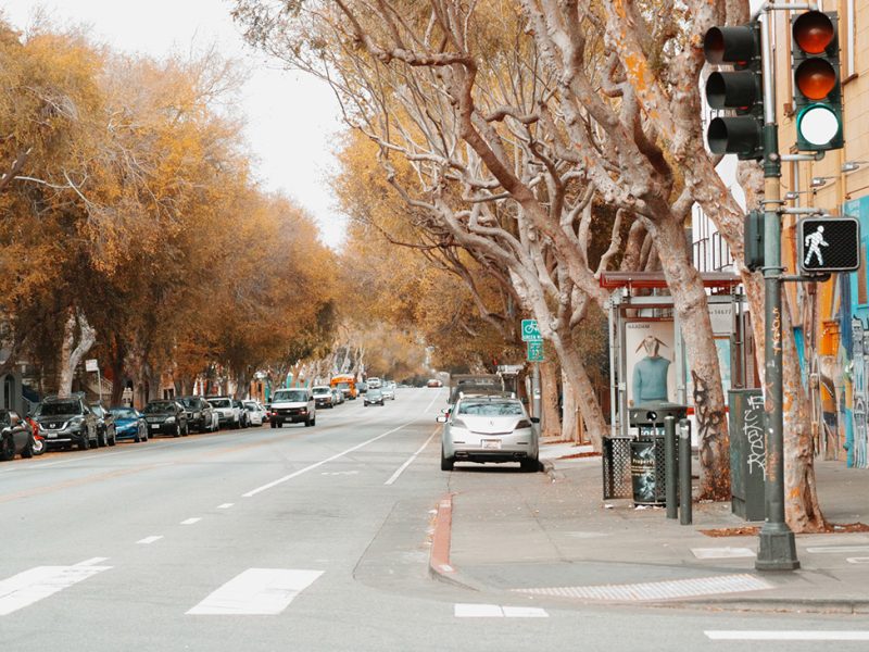 street with fall trees.