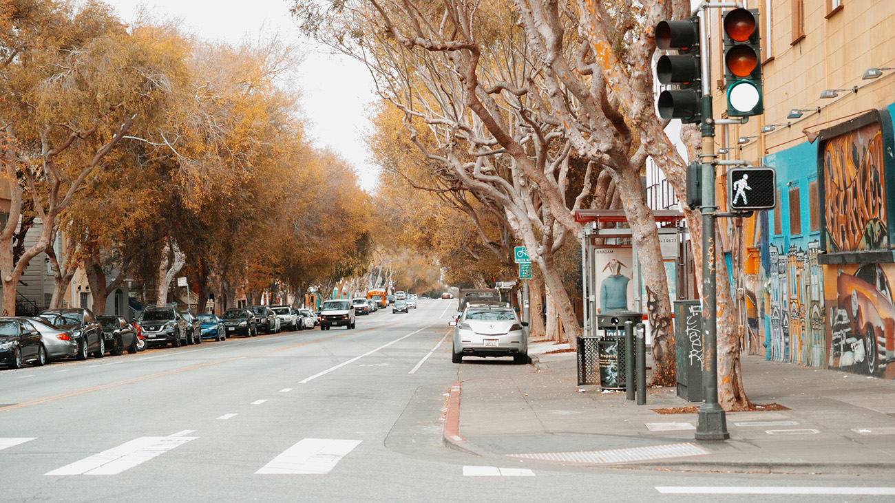 street with fall trees.