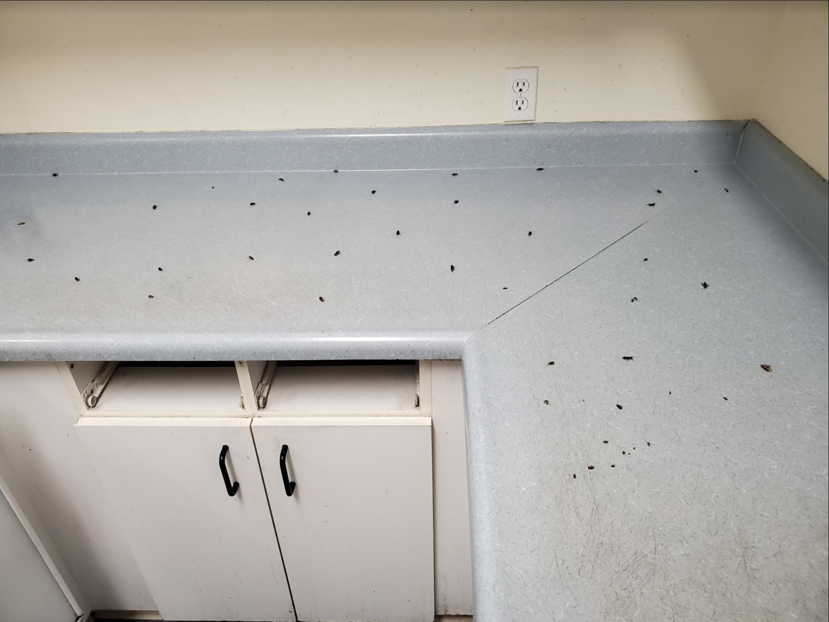 Tenants sue Mercy Housing, alleging ‘uninhabitable’  conditions