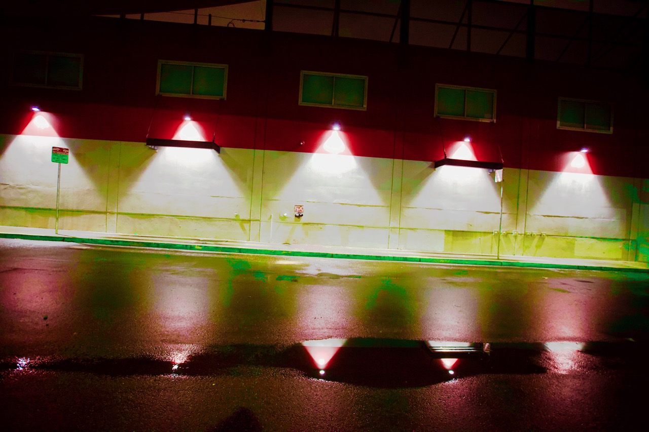 Lights that cast shadows in the shape of Christmas trees.