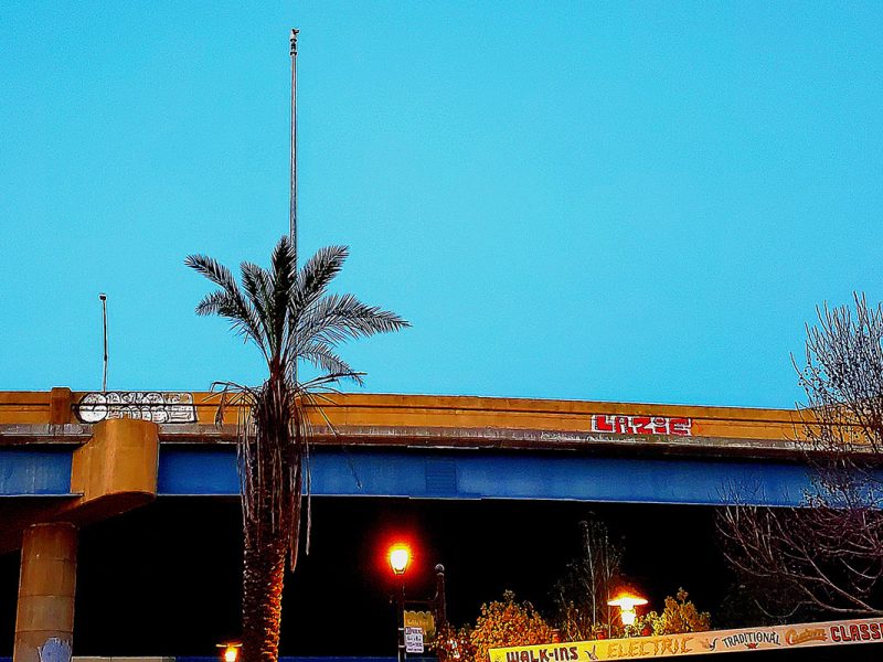Sky, freeway and a palm tree.