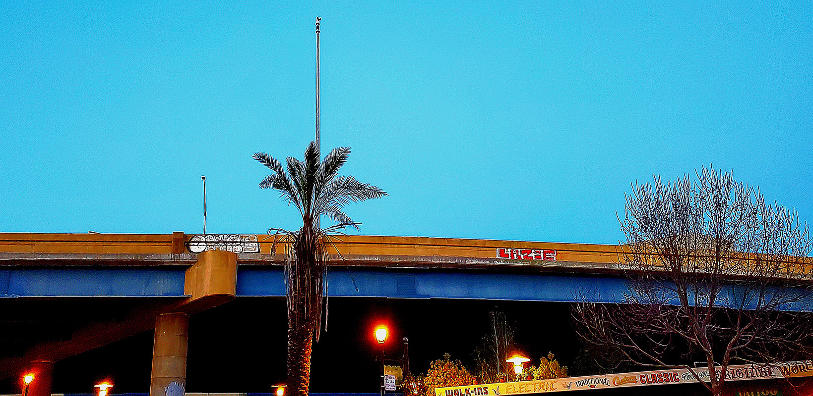 Sky, freeway and a palm tree.