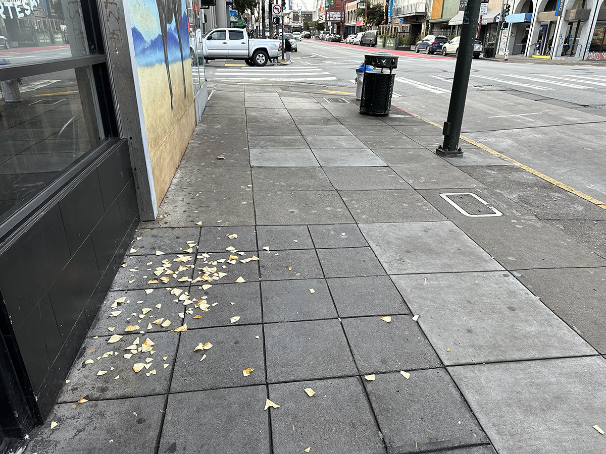 A sidewalk covered in loads of chips.