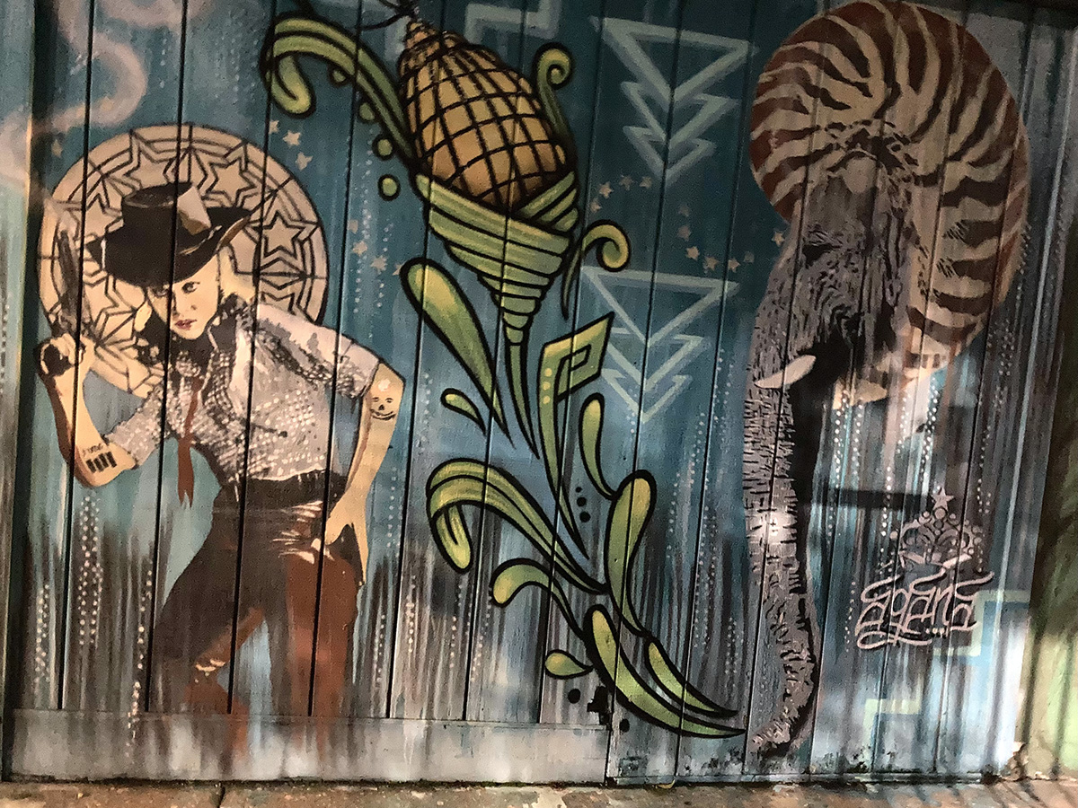 A mural of a cowgirl.