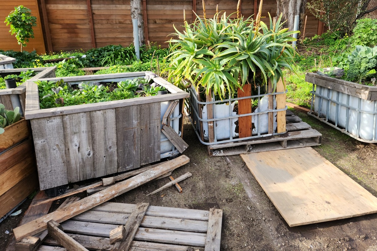 Damaged containers filled with plants.