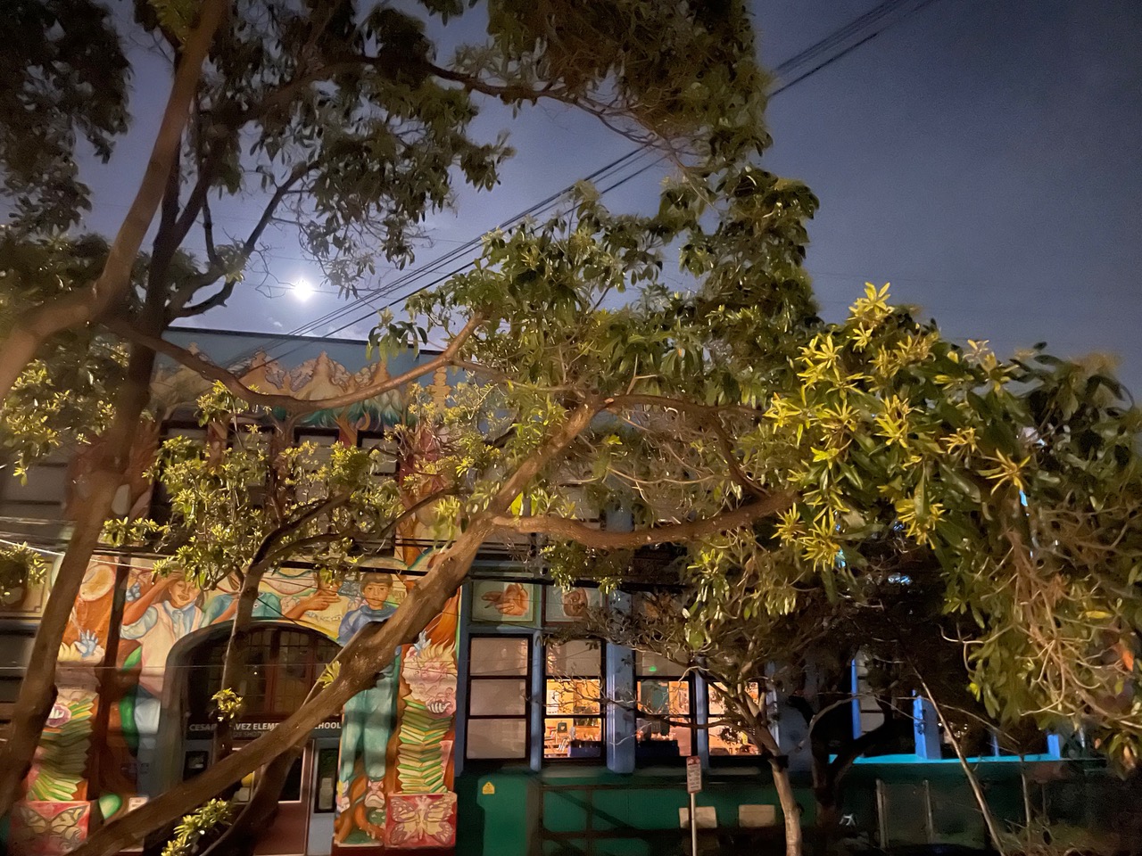 A moonlit over a school with a mural in front an a large tree in front.