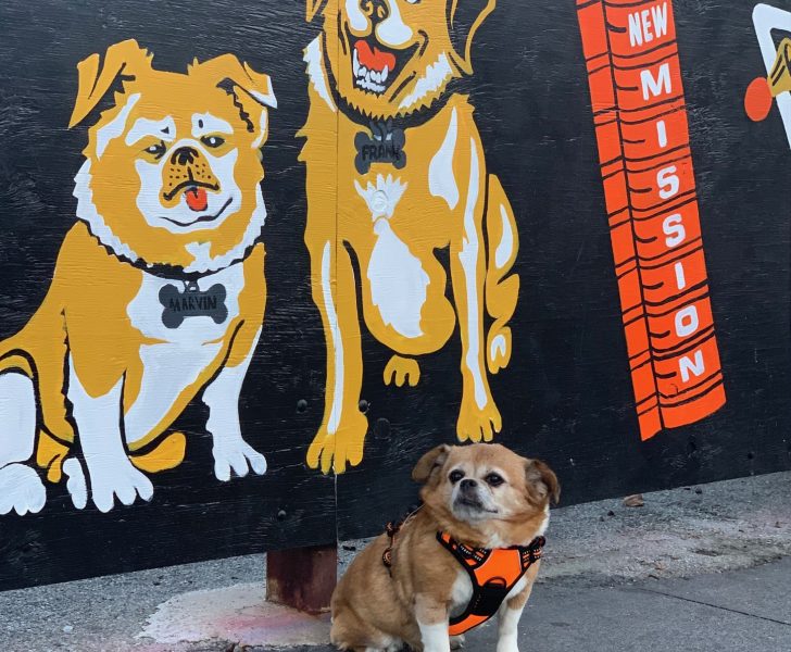 Two dogs painted on a wall and a live dog in front of it.
