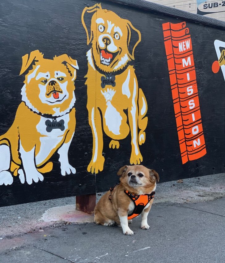 Two dogs painted on a wall and a live dog in front of it.