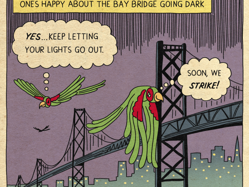Birds flying near the bay Bridge